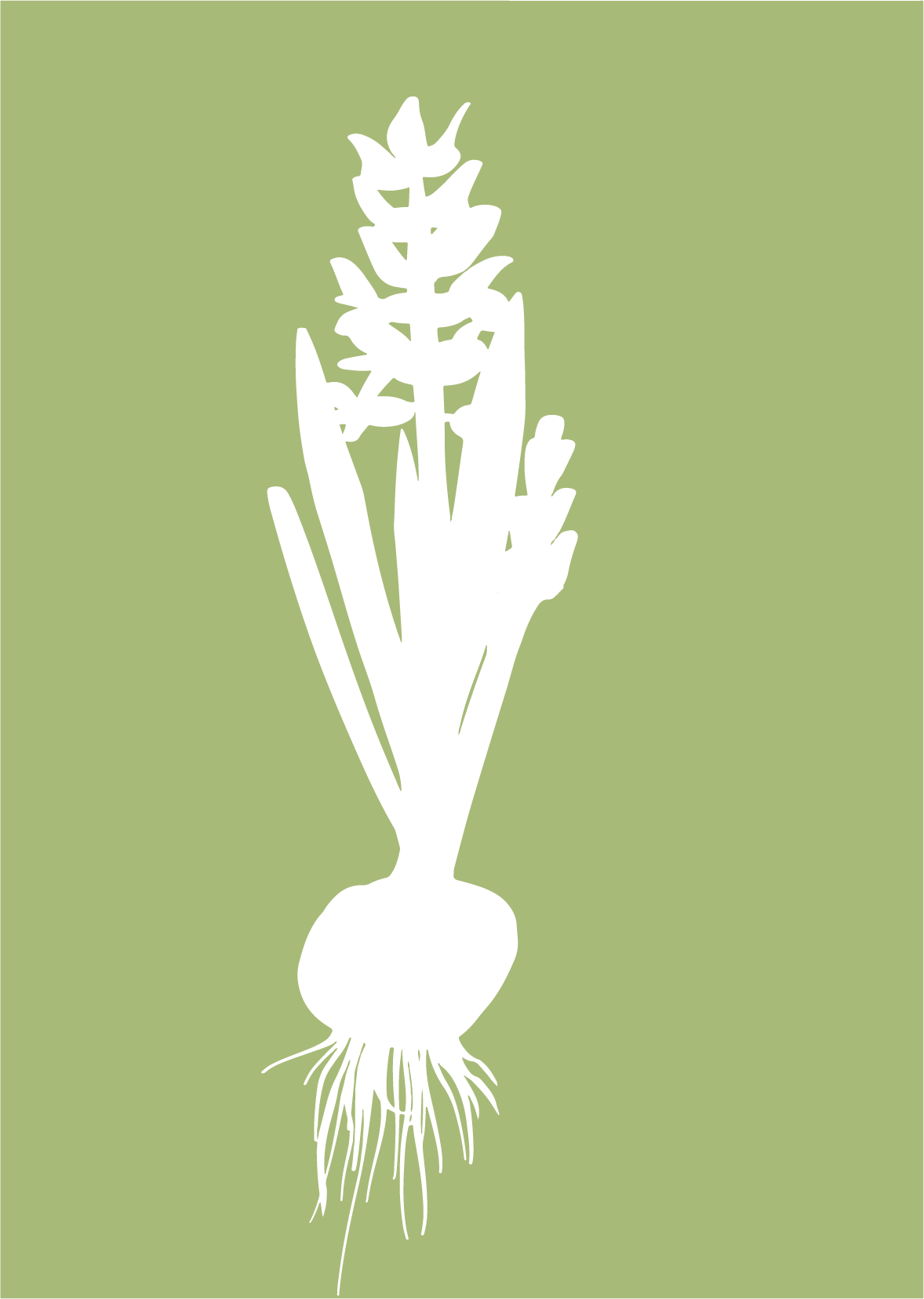 Expérimentations graphiques 1